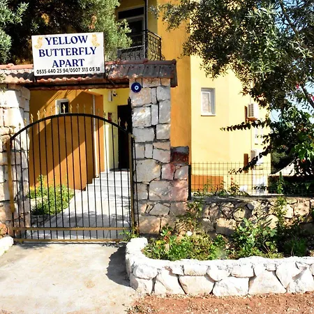 Villa Yellow Butterfly